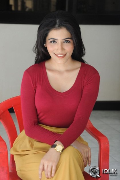 Gazal-Somaiah-at-The-End-Movie-Press-Meet